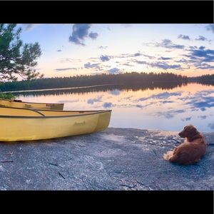 Meet your Posher, Logan